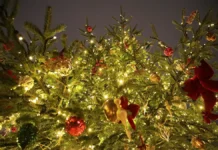 Модный приговор о том, как встретить Новый год Красной Огненной Лошади modnyj prigovor o tom kak vstretit novyj god krasnoj ognennoj loshadi-missionary-su-0