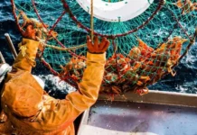 Приморский колхоз "Восток-1" переходит под управление АО "ДРУК" для нового этапа развития primorskij kolhoz vostok1 perehodit pod upravlenie ao druk dlya novogo etapa razvitiya-missionary-su-0