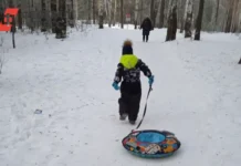 sinoptiki prognoziruyut novogodnee poteplenie v habarovske do 7s-missionary-su-0