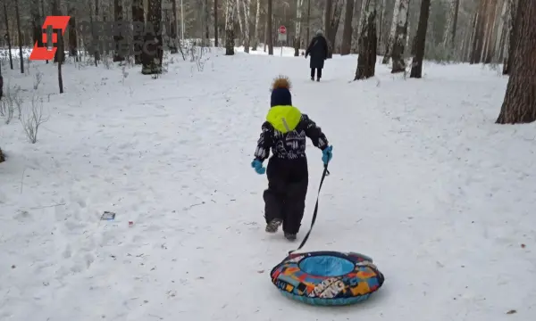 Синоптики прогнозируют новогоднее потепление в Хабаровске до -7°С-0