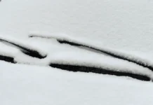 snezhnaya kamchatka  zhizneradostnye meropriyatiya v petropavlovskekamchatskom i elizovo-missionary-su-0