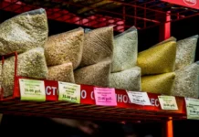 В Приморье Россельхознадзор вернул рис с булавоусым хрущаком во Вьетнам v primore rosselhoznadzor vernul ris s bulavousym hrushhakom vo vetnam-missionary-su-0