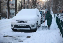 Владивосток встретил первый снег, с улыбкой отмечая приход зимы vladivostok vstretil pervyj sneg s ulybkoj otmechaya prihod zimy-missionary-su-0