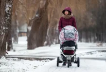 Ветров и Бессараб поддержат повышение выплат маткапитала vetrov i bessarab podderzhat povyshenie vyplat matkapitala-missionary-su-0