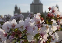 Апрель в Москве встретят солнцем, по прогнозам Гидрометцентра и Фобос aprel v moskve vstretyat solnczem po prognozam gidrometczentra i fobos-missionary-su-0