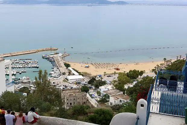 Вводная картинка