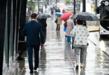 primgidromet dal prognoz pogody vo vladivostoke i primore na vyhodnye-missionary-su-0