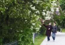 ok pomogayut moskovskomu dolgoletiyu najti interesnyj dosug letom-missionary-su-0