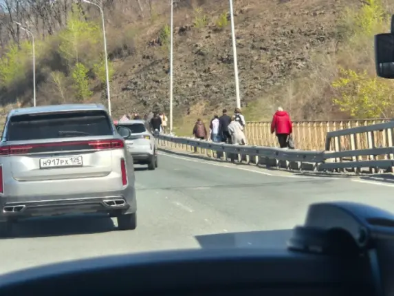 Пассажиры автобуса пошли пешком из-за ДТП на Русском острове ИА PrimaMedia