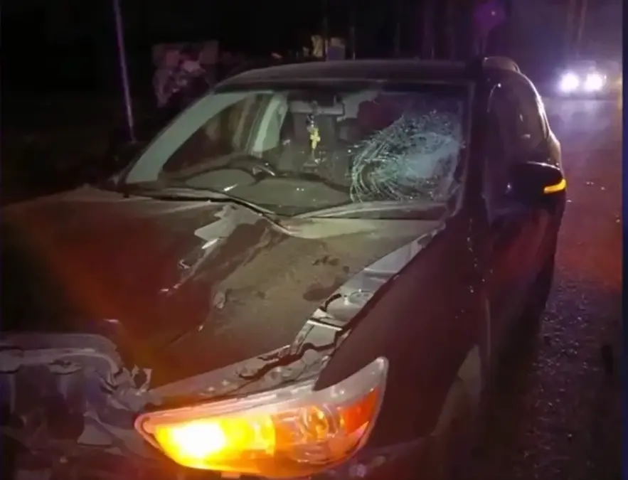 Автомобиль насмерть сбил пешехода на Т-образном перекрёстке в Приморье Пресс-служба УМВД России по Приморскому краю