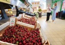 akort rynok fruktov stabilen nesmotrya na zaprety rosselhoznadzora-missionary-su-0