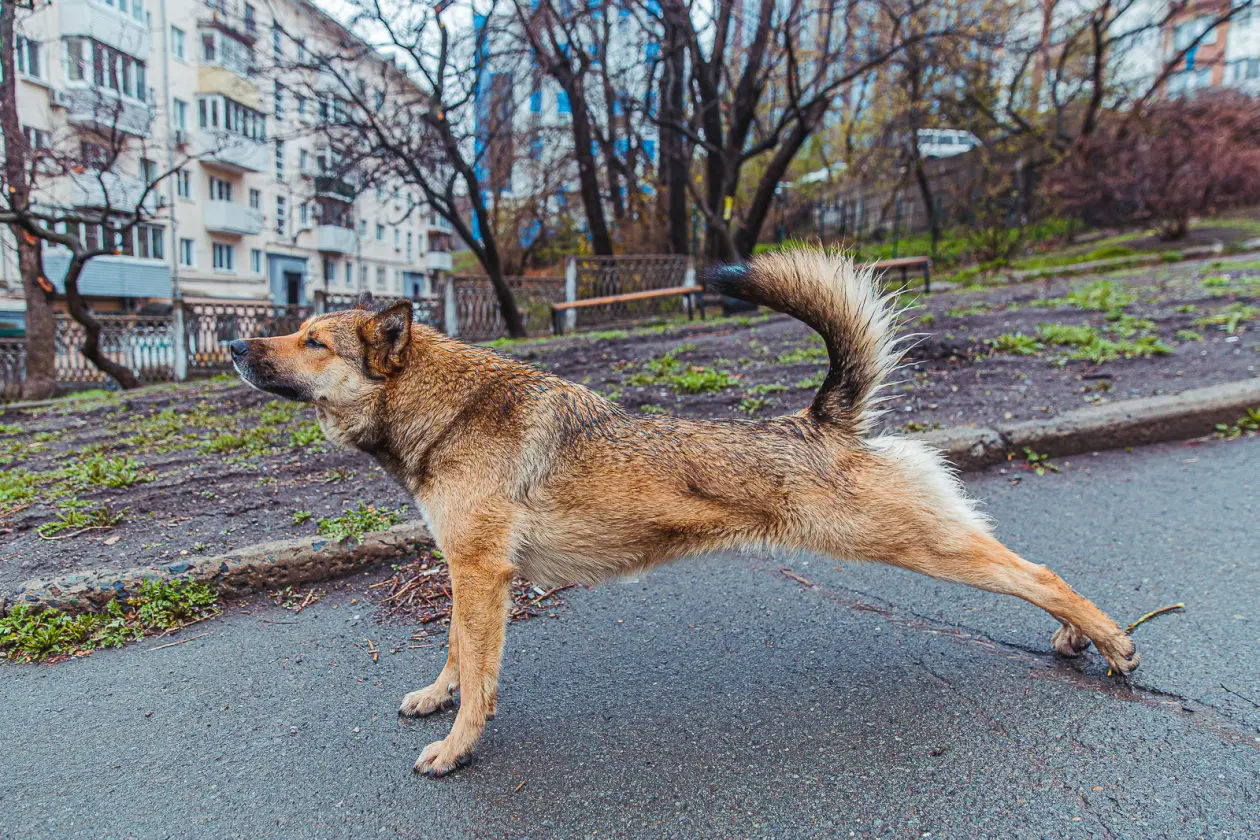 Фото: primamedia.ru