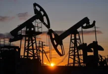 rossiya i indiya ukreplyayut energopartnerstvo dzhajshankar gibok-missionary-su-0