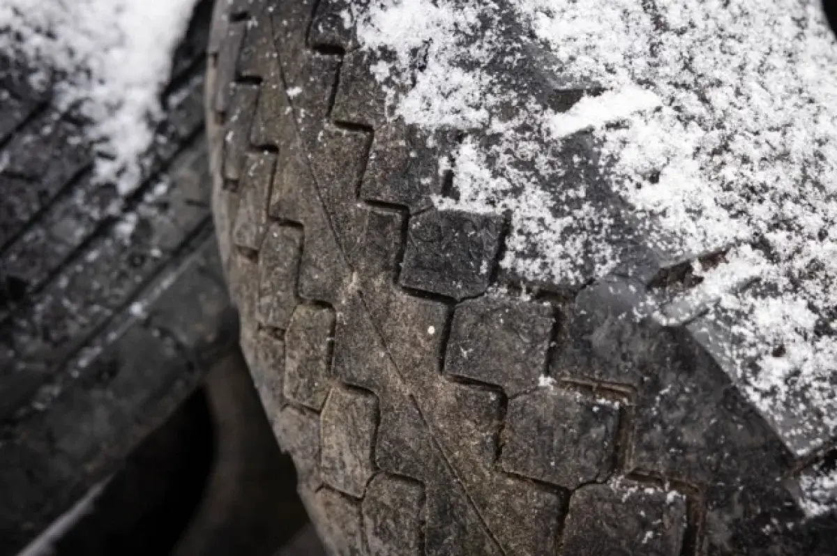 Администрация Екатеринбурга запускает новый эко-проект-0