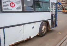 Администрация Владивостока возобновит маршрут №81 уже этой зимой administracziya vladivostoka vozobnovit marshrut 81 uzhe etoj zimoj-gazetart-ru-0