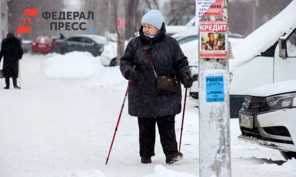 Алексей Говырин обсудил график январских выплат пенсий в Госдуме-0