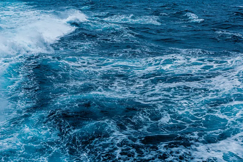 Фото: primamedia.ru