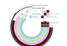 Биореволюция Acidiplasma YE-1 от ФИЦ РАН открывает новые пути к металлам biorevolyucziya 1 ot ficz ran otkryvaet novye puti k metallam-gazetart-ru-0