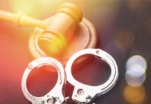 Боец ММА из Таджикистана осуждён за двойное убийство в Новосибирске boecz mma iz tadzhikistana osuzhdyon za dvojnoe ubijstvo v novosibirske-gazetart-ru-0