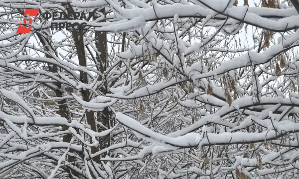 Центр погоды «Фобос» назвал дату прихода зимы в столице-0