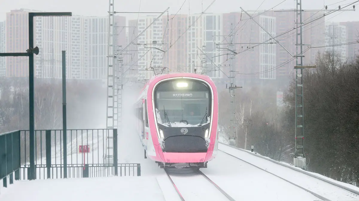 «МК»: Поезд сбил 14-летнюю девочку на станции МЦД-2 «Щербинка»