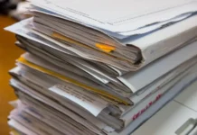 Эрика В. доставлена в отдел полиции УМВД России по Приморскому краю erika v dostavlena v otdel policzii umvd rossii po primorskomu krayu-gazetart-ru-0