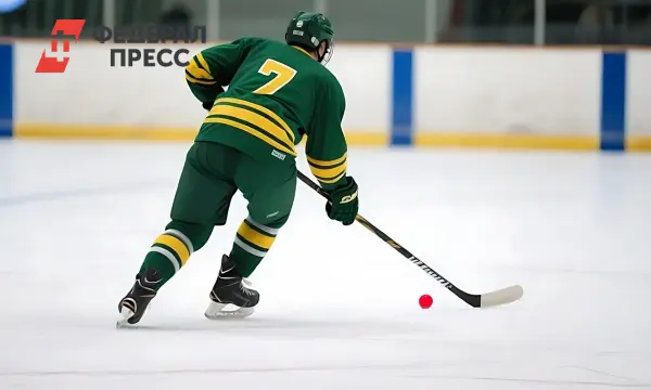 Евгений Иванушкин и новое будущее Федерации хоккея с мячом России-0