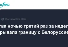 ГТК сообщает о закрытии границы между Литвой и Белоруссией gtk soobshhaet o zakrytii graniczy mezhdu litvoj i belorussiej-gazetart-ru-0