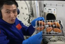 Китайские космонавты устраивают орбитальное барбекю на станции «Тяньгун» kitajskie kosmonavty ustraivayut orbitalnoe barbekyu na stanczii tyangun-gazetart-ru-0