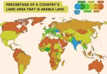 Лидеры в пахотных землях и сельском хозяйстве: причины успеха lidery v pahotnyh zemlyah i selskom hozyajstve prichiny uspeha-gazetart-ru-0