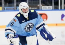 Луи Доминг покидает Сибирь, открывая возможности для Волкова в КХЛ lui doming pokidaet sibir otkryvaya vozmozhnosti dlya volkova v khl-gazetart-ru-0