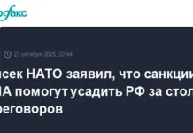 Марк Рютте заявил, что новые санкции США могут побудить Россию к диалогу mark ryutte zayavil chto novye sankczii ssha mogut pobudit rossiyu k dialogu-gazetart-ru-0