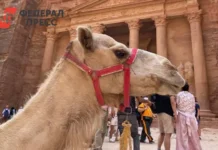 МИД РФ объявил о безвизовых поездках в Китай, Иорданию и Саудовскую Аравию mid rf obyavil o bezvizovyh poezdkah v kitaj iordaniyu i saudovskuyu araviyu-gazetart-ru-0