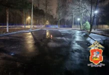 МВД и Пушкин подводят итоги проверки после инцидента с Киа mvd i pushkin podvodyat itogi proverki posle inczidenta s kia-gazetart-ru-0