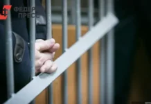 МВД России и ФСБ России сорвали замысел в Люберцах mvd rossii i fsb rossii sorvali zamysel v lyuberczah-gazetart-ru-0