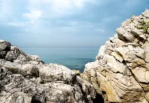 На краю скалы в Мар-дель-Плате фото стало причиной гибели туристки na krayu skaly v mardelplate foto stalo prichinoj gibeli turistki-gazetart-ru-0