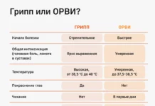 Новосибирская область усиливает меры против ОРВИ и гриппа novosibirskaya oblast usilivaet mery protiv orvi i grippa-gazetart-ru-0