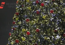 Парк «Динамо» в Хабаровске готовит сказочный Новый год park dinamo v habarovske gotovit skazochnyj novyj god-gazetart-ru-0