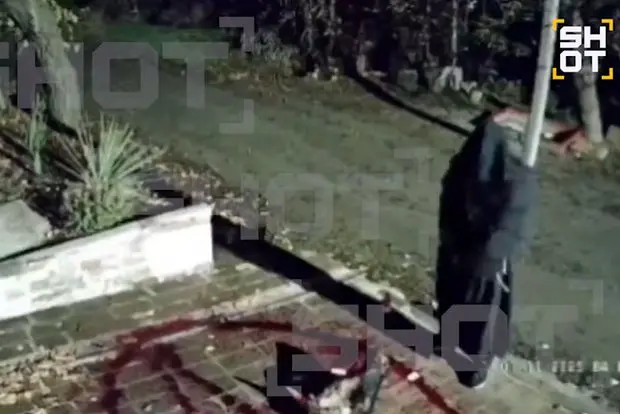 Вводная картинка