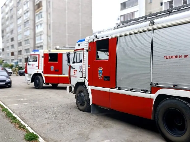 В свердловском поселке Лосиный при пожаре погиб человек