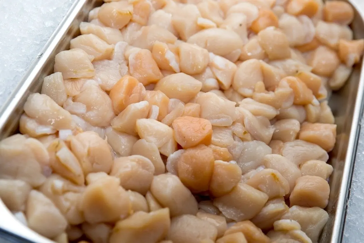 Фото: primamedia.ru