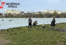 Путешественники Марк Еремин обсуждают Краснодар и его особенности puteshestvenniki mark eremin obsuzhdayut krasnodar i ego osobennosti-gazetart-ru-0