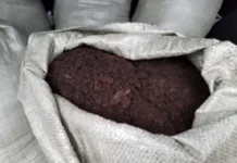 Россельхознадзор обеспечил экспорт торфогрунта из Свердловской области в Китай rosselhoznadzor obespechil eksport torfogrunta iz sverdlovskoj oblasti v kitaj-gazetart-ru-0