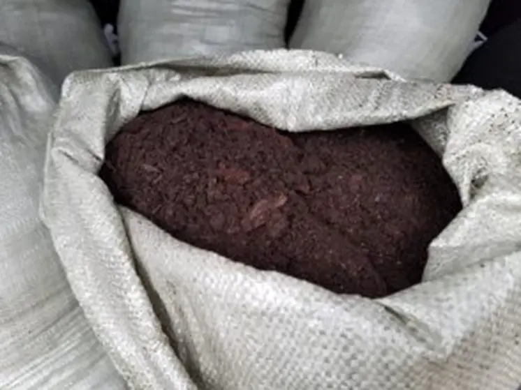 Свыше 2 тысяч тонн торфогрунта эскортировали из Свердловской области в КНР