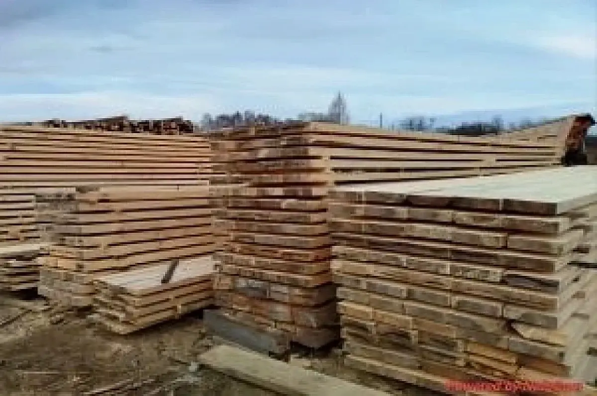 Россельхознадзор защитил Армению от малого черного елового усача-0