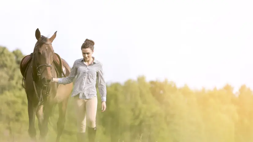 Два туристических инвестпроекта реализуют в селе под Тюменью