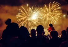 Сергей Миронов сообщил о поддержке новогодних традиций в Латвии sergej mironov soobshhil o podderzhke novogodnih tradiczij v latvii-gazetart-ru-0