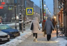 Северная столица встретит Новый год с красивым снежным настроением severnaya stolicza vstretit novyj god s krasivym snezhnym nastroeniem-gazetart-ru-0