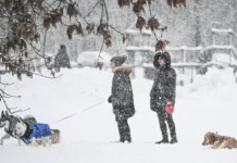 Синоптики обещают москвичам сказочную зиму и мягкие снегопады sinoptiki obeshhayut moskvicham skazochnuyu zimu i myagkie snegopady-gazetart-ru-0