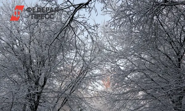 Синоптики Приморья обещают Владивостоку красивый снегопад в декабре-0